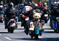 Motorradbär