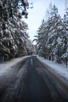 straße im brandenburgischen, die einen auf bayerischen wald macht