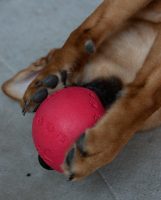 roter ball statt roter nase