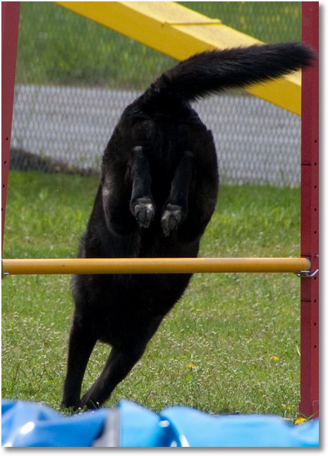 agi30